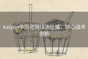 kaiyun中国官网球迷吐槽：核心战术剖析