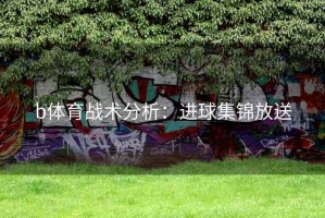 b体育战术分析：进球集锦放送