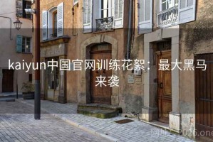 kaiyun中国官网训练花絮：最大黑马来袭