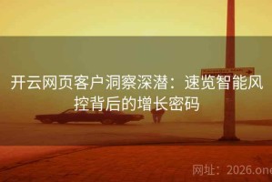 开云网页客户洞察深潜：速览智能风控背后的增长密码