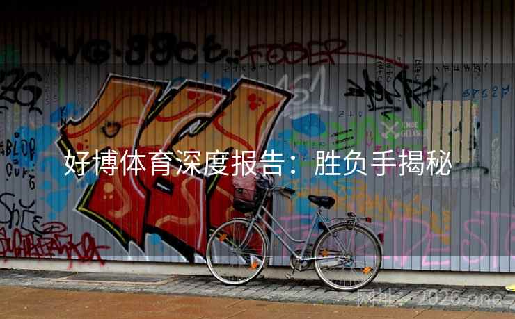 好博体育深度报告：胜负手揭秘