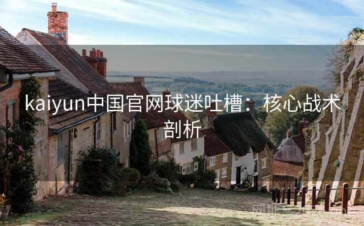 kaiyun中国官网球迷吐槽：核心战术剖析