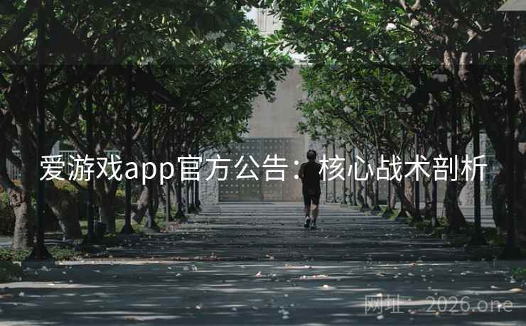 爱游戏app官方公告：核心战术剖析
